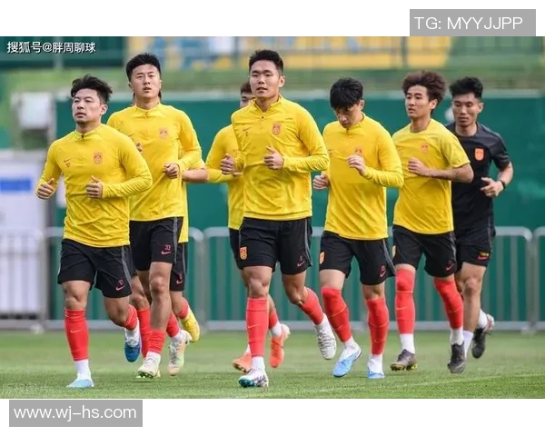 国家队迎战新西兰全力争胜展现团队精神与竞技风采